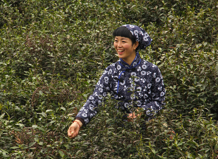 最后一支烟